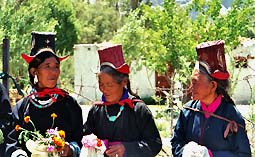 lafemmes